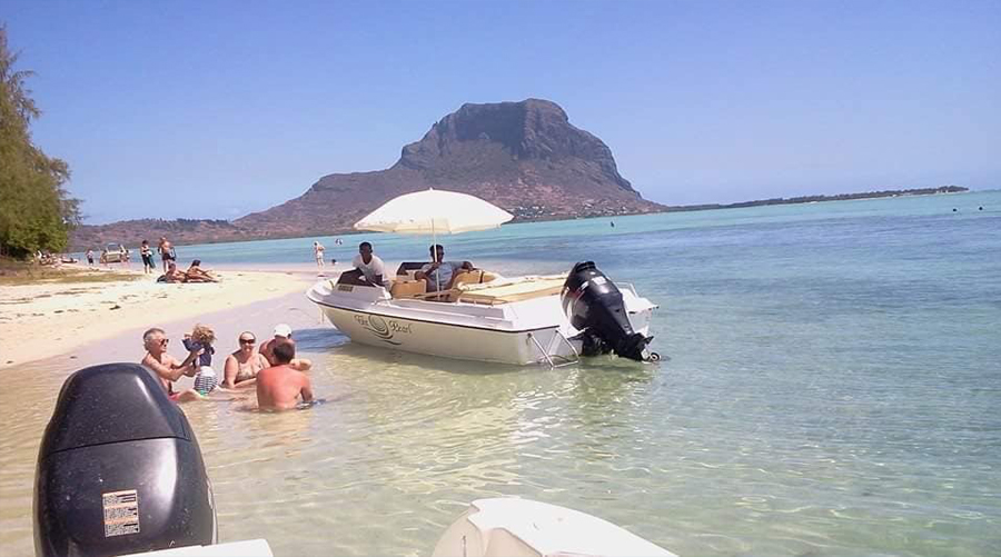 Benitier Island & Dolphins