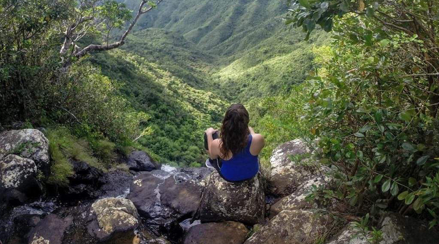 Enjoy a full day in the Nature of Mauritius.