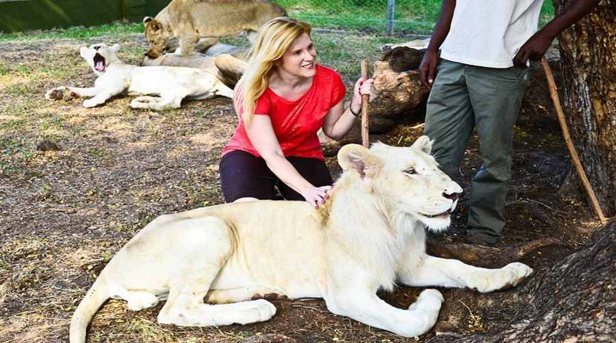 Walk & Interaction With Lion Tigers Rhino Cheeta Cubs